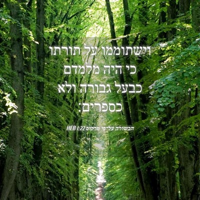 Picture 04 - הבשורה על־פי מרקוס 1:22 HEB - וישתוממו על תורתו כי היה - Bible Verse Picture