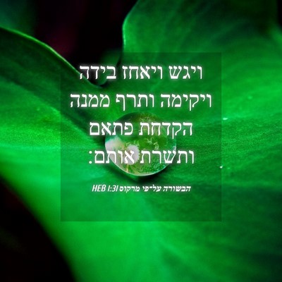 Picture 04 - הבשורה על־פי מרקוס 1:31 HEB - ויגש ויאחז בידה ויקימה - Bible Verse Picture