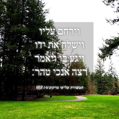 Picture 04 - הבשורה על־פי מרקוס 1:41 HEB - וירחם עליו וישלח את ידו - Bible Verse Picture
