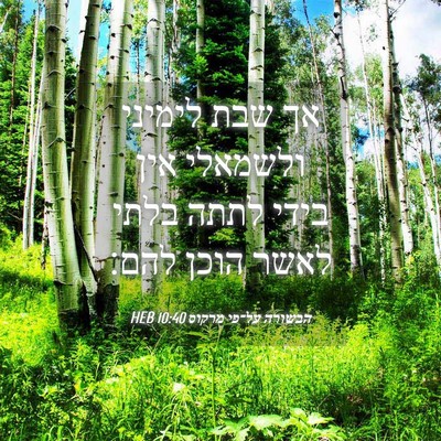 Picture 04 - הבשורה על־פי מרקוס 10:40 HEB - אך שבת לימיני ולשמאלי אין - Bible Verse Picture
