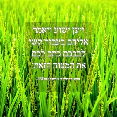 Picture 04 - הבשורה על־פי מרקוס 10:5 HEB - ויען ישוע ויאמר אליהם - Bible Verse Picture