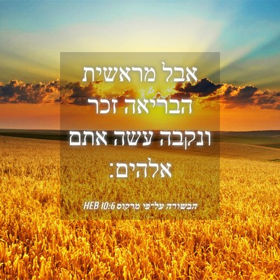 Picture 04 - הבשורה על־פי מרקוס 10:6 HEB - אבל מראשית הבריאה זכר - Bible Verse Picture