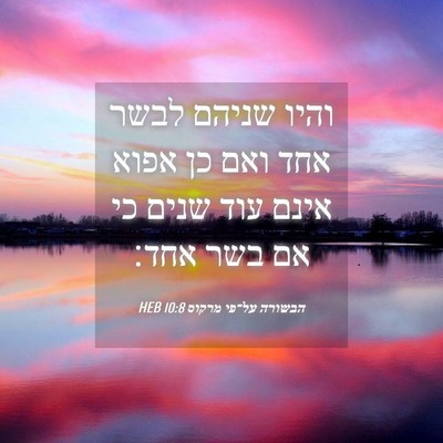 Picture 04 - הבשורה על־פי מרקוס 10:8 HEB - והיו שניהם לבשר אחד ואם כן - Bible Verse Picture