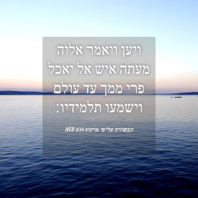 Picture 04 - הבשורה על־פי מרקוס 11:14 HEB - ויען ויאמר אליה מעתה איש אל - Bible Verse Picture