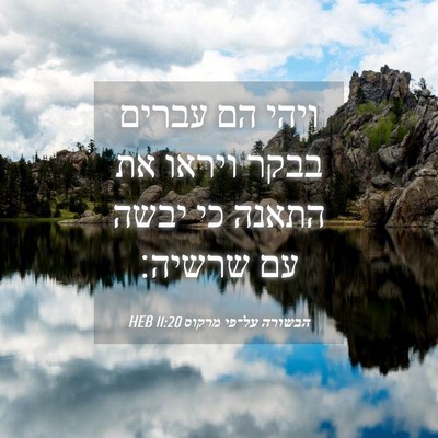 Picture 04 - הבשורה על־פי מרקוס 11:20 HEB - ויהי הם עברים בבקר ויראו את - Bible Verse Picture