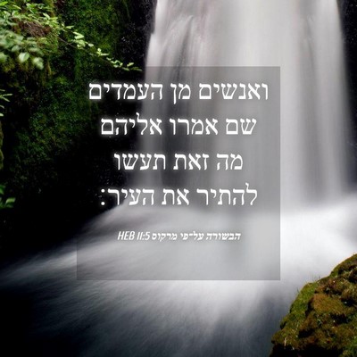 Picture 04 - הבשורה על־פי מרקוס 11:5 HEB - ואנשים מן העמדים שם אמרו - Bible Verse Picture