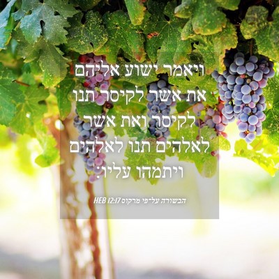 Picture 04 - הבשורה על־פי מרקוס 12:17 HEB - ויאמר ישוע אליהם את אשר - Bible Verse Picture