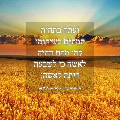 Picture 04 - הבשורה על־פי מרקוס 12:23 HEB - ועתה בתחית המתים כשיקומו - Bible Verse Picture