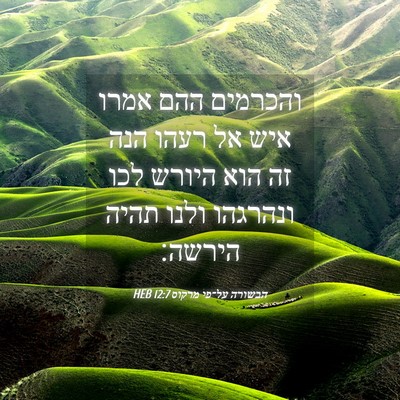 Picture 04 - הבשורה על־פי מרקוס 12:7 HEB - והכרמים ההם אמרו איש אל - Bible Verse Picture