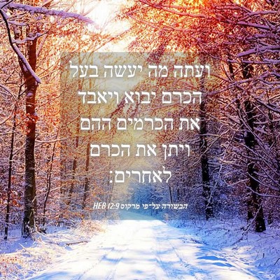 Picture 04 - הבשורה על־פי מרקוס 12:9 HEB - ועתה מה יעשה בעל הכרם יבוא - Bible Verse Picture