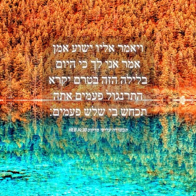 Picture 04 - הבשורה על־פי מרקוס 14:30 HEB - ויאמר אליו ישוע אמן אמר אני - Bible Verse Picture