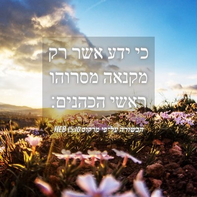 Picture 04 - הבשורה על־פי מרקוס 15:10 HEB - כי ידע אשר רק מקנאה מסרוהו - Bible Verse Picture