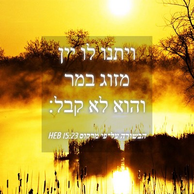 Picture 04 - הבשורה על־פי מרקוס 15:23 HEB - ויתנו לו יין מזוג במר והוא - Bible Verse Picture
