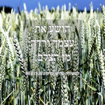 Picture 04 - הבשורה על־פי מרקוס 15:30 HEB - הושע את עצמך ורדה מן - Bible Verse Picture