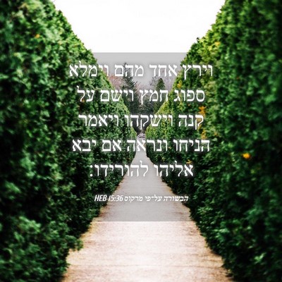 Picture 04 - הבשורה על־פי מרקוס 15:36 HEB - וירץ אחד מהם וימלא ספוג חמץ - Bible Verse Picture