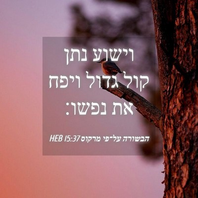 Picture 04 - הבשורה על־פי מרקוס 15:37 HEB - וישוע נתן קול גדול ויפח את - Bible Verse Picture