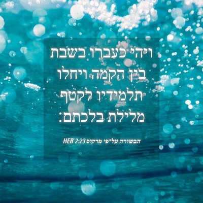 Picture 04 - הבשורה על־פי מרקוס 2:23 HEB - ויהי כעברו בשבת בין הקמה - Bible Verse Picture