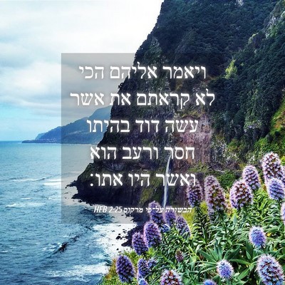 Picture 04 - הבשורה על־פי מרקוס 2:25 HEB - ויאמר אליהם הכי לא קראתם את - Bible Verse Picture