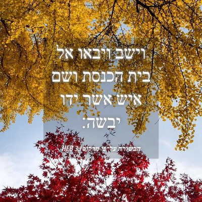Picture 04 - הבשורה על־פי מרקוס 3:1 HEB - וישב ויבאו אל בית הכנסת ושם - Bible Verse Picture