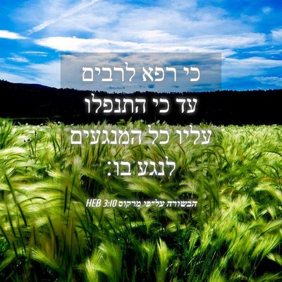 Picture 04 - הבשורה על־פי מרקוס 3:10 HEB - כי רפא לרבים עד כי התנפלו - Bible Verse Picture