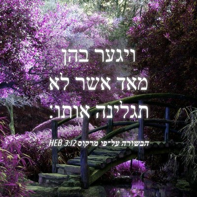 Picture 04 - הבשורה על־פי מרקוס 3:12 HEB - ויגער בהן מאד אשר לא תגלינה - Bible Verse Picture