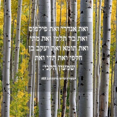 Picture 04 - הבשורה על־פי מרקוס 3:18 HEB - ואת אנדרי ואת פילפוס ואת בר - Bible Verse Picture