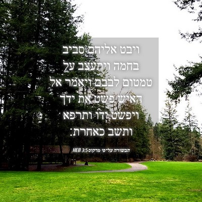 Picture 04 - הבשורה על־פי מרקוס 3:5 HEB - ויבט אליהם סביב בחמה - Bible Verse Picture