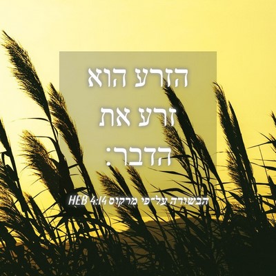 Picture 04 - הבשורה על־פי מרקוס 4:14 HEB - הזרע הוא זרע את - Bible Verse Picture