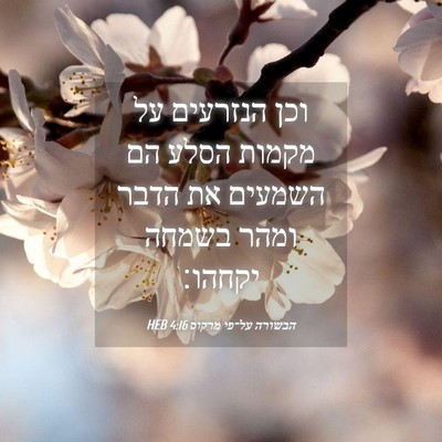 Picture 04 - הבשורה על־פי מרקוס 4:16 HEB - וכן הנזרעים על מקמות הסלע - Bible Verse Picture