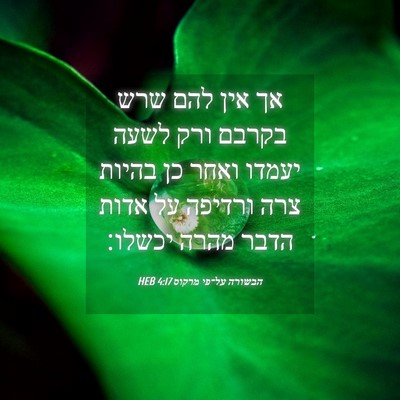 Picture 04 - הבשורה על־פי מרקוס 4:17 HEB - אך אין להם שרש בקרבם ורק - Bible Verse Picture