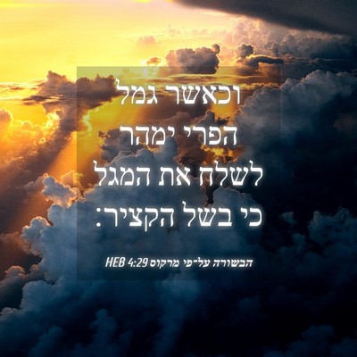 Picture 04 - הבשורה על־פי מרקוס 4:29 HEB - וכאשר גמל הפרי ימהר לשלח את - Bible Verse Picture