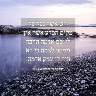 Picture 04 - הבשורה על־פי מרקוס 4:5 HEB - ויש אשר נפל על מקום הסלע - Bible Verse Picture