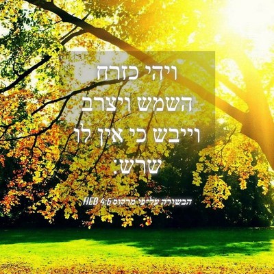 Picture 04 - הבשורה על־פי מרקוס 4:6 HEB - ויהי כזרח השמש ויצרב וייבש - Bible Verse Picture