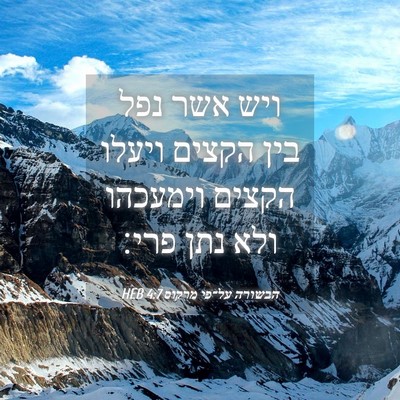 Picture 04 - הבשורה על־פי מרקוס 4:7 HEB - ויש אשר נפל בין הקצים ויעלו - Bible Verse Picture