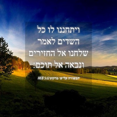 Picture 04 - הבשורה על־פי מרקוס 5:12 HEB - ויתחננו לו כל השדים לאמר - Bible Verse Picture