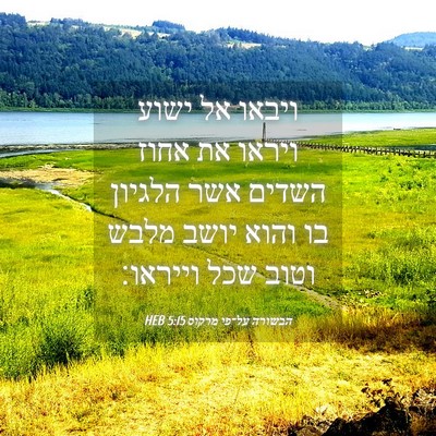 Picture 04 - הבשורה על־פי מרקוס 5:15 HEB - ויבאו אל ישוע ויראו את אחוז - Bible Verse Picture