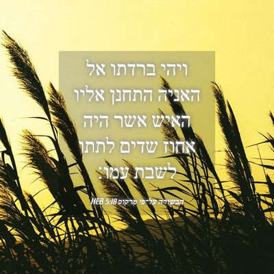 Picture 04 - הבשורה על־פי מרקוס 5:18 HEB - ויהי ברדתו אל האניה התחנן - Bible Verse Picture