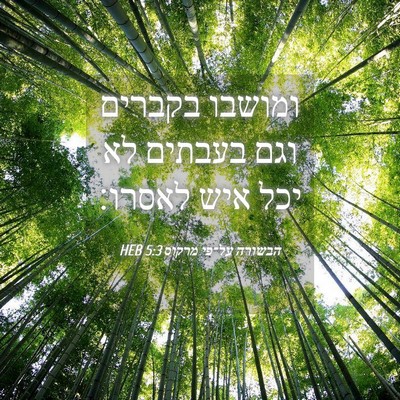 Picture 04 - הבשורה על־פי מרקוס 5:3 HEB - ומושבו בקברים וגם בעבתים - Bible Verse Picture