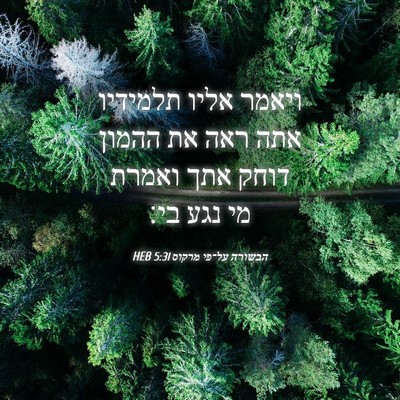 Picture 04 - הבשורה על־פי מרקוס 5:31 HEB - ויאמר אליו תלמידיו אתה ראה - Bible Verse Picture