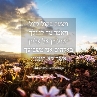 Picture 04 - הבשורה על־פי מרקוס 5:7 HEB - ויצעק בקול גדול ויאמר מה לי - Bible Verse Picture