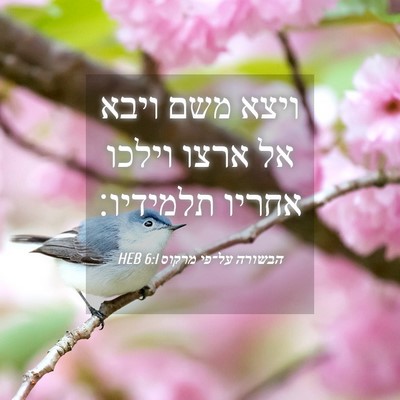 Picture 04 - הבשורה על־פי מרקוס 6:1 HEB - ויצא משם ויבא אל ארצו וילכו - Bible Verse Picture