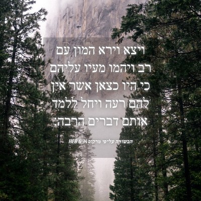 Picture 04 - הבשורה על־פי מרקוס 6:34 HEB - ויצא וירא המון עם רב ויהמו - Bible Verse Picture