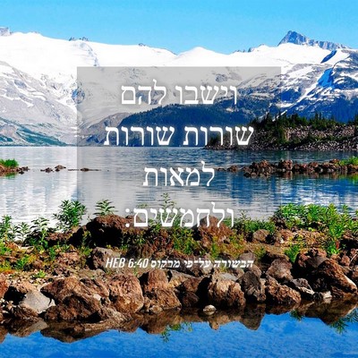Picture 04 - הבשורה על־פי מרקוס 6:40 HEB - וישבו להם שורות שורות - Bible Verse Picture
