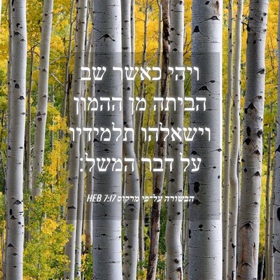 Picture 04 - הבשורה על־פי מרקוס 7:17 HEB - ויהי כאשר שב הביתה מן ההמון - Bible Verse Picture