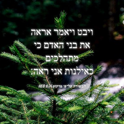 Picture 04 - הבשורה על־פי מרקוס 8:24 HEB - ויבט ויאמר אראה את בני האדם - Bible Verse Picture