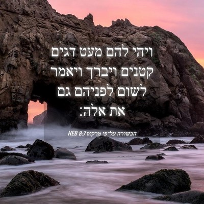 Picture 04 - הבשורה על־פי מרקוס 8:7 HEB - ויהי להם מעט דגים קטנים - Bible Verse Picture