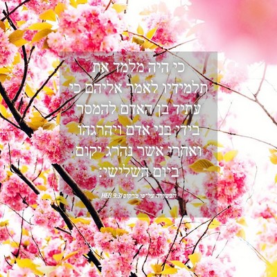 Picture 04 - הבשורה על־פי מרקוס 9:31 HEB - כי היה מלמד את תלמידיו לאמר - Bible Verse Picture