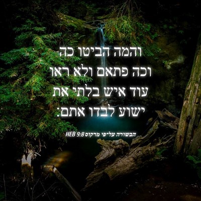 Picture 04 - הבשורה על־פי מרקוס 9:8 HEB - והמה הביטו כה וכה פתאם ולא - Bible Verse Picture