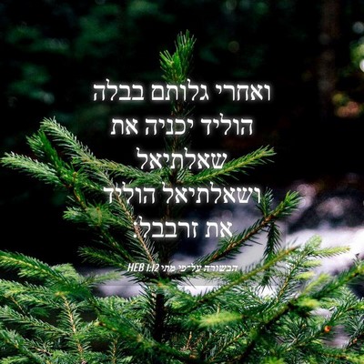 Picture 04 - הבשורה על־פי מתי 1:12 HEB - ואחרי גלותם בבלה הוליד - Bible Verse Picture