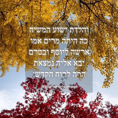 Picture 04 - הבשורה על־פי מתי 1:18 HEB - והלדת ישוע המשיח כה היתה - Bible Verse Picture